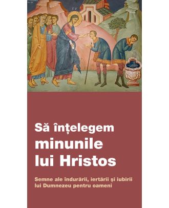 Să înțelegem minunile lui Hristos. Semne ale îndurării, iertării și iubirii lui Dumnezeu pentru oameni