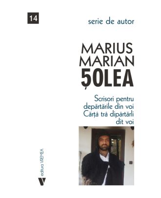 Scrisori pentru depărtările din voi