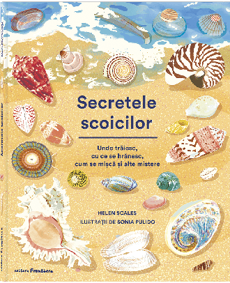 Secretele scoicilor