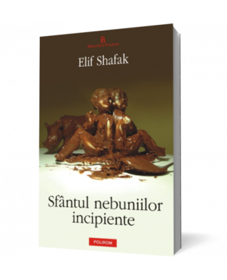 Sfantul nebuniilor incipiente - Coperta 3D