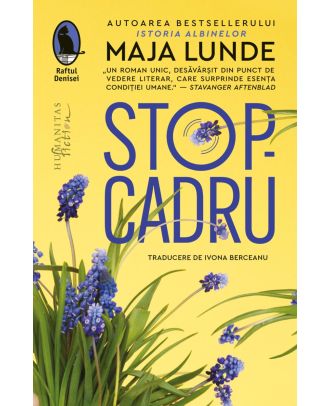 Stop-cadru