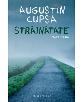 Străinătate