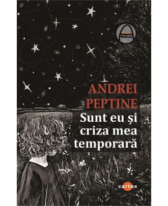 Sunt eu si criza mea temporara