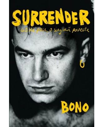 Surrender. 40 de piese, o singura poveste