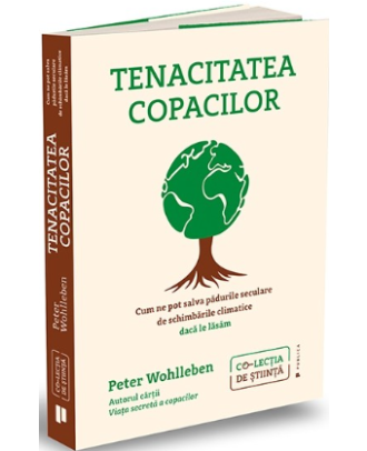 Tenacitatea copacilor