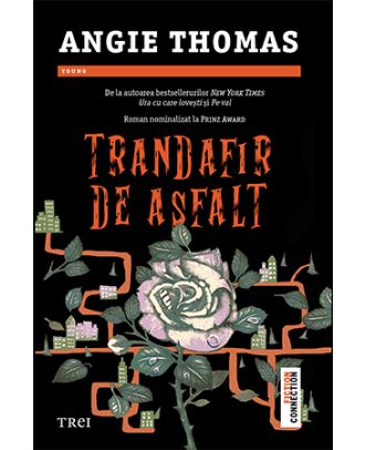 Trandafir de asfalt