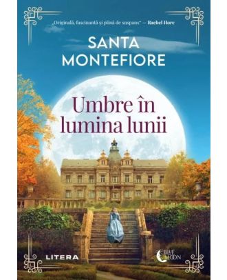Umbre in lumina lunii