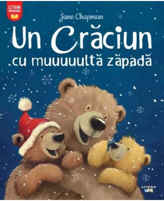 Un Craciun cu multa zapada