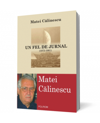 Un fel de jurnal - Coperta 3D