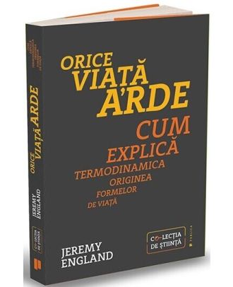 Orice viață arde. Cum explică termodinamica originea formelor de viață