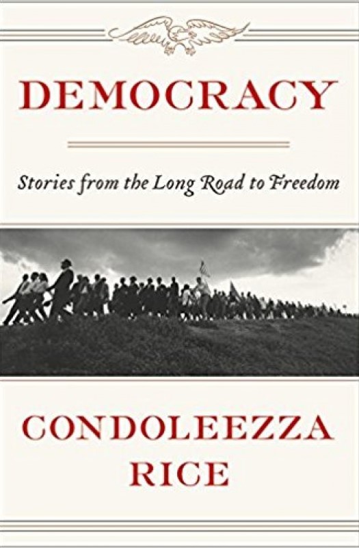 Democracy: Stories from the Long Road to Freedom Cărți