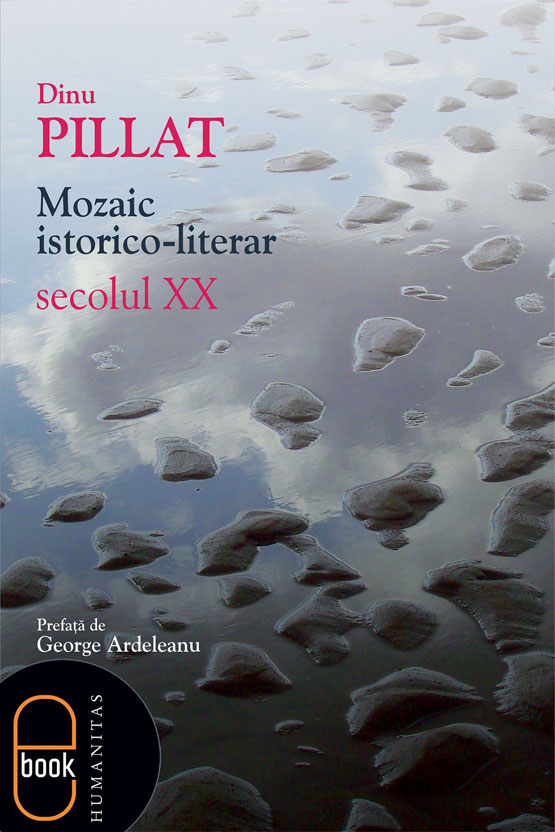 Mozaic istorico-literar. Secolul XX (ebook)