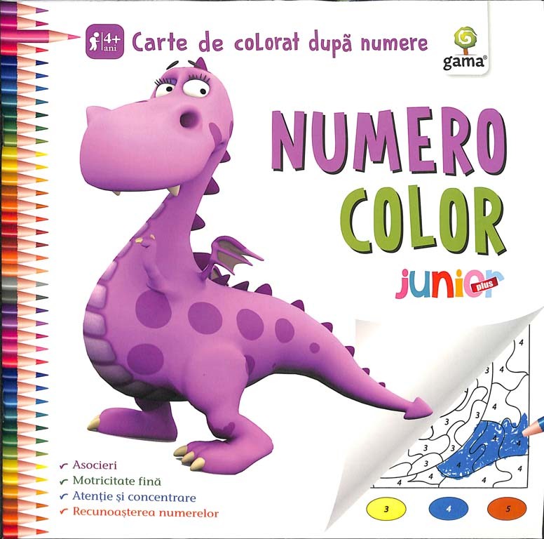 NumeroColor Junior Plus